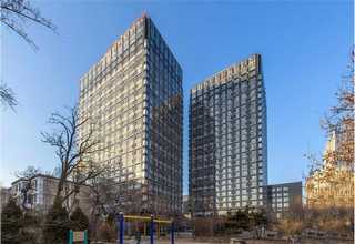 苏州国际校园绿化工程